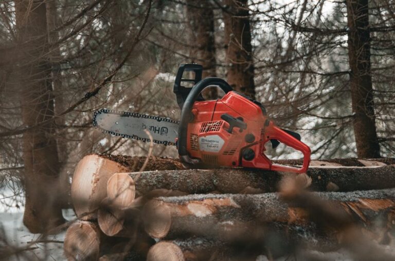chainsaw size for firewood