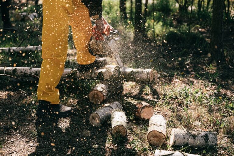 home chainsaw chain sharpening